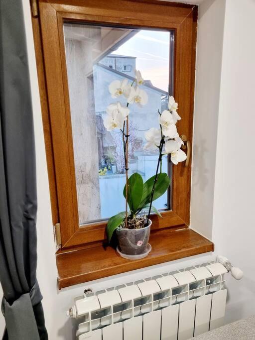 Cozy Apartment Near City Center Бухарест Экстерьер фото